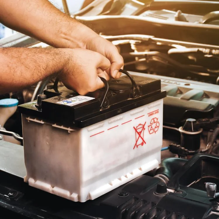 Auto Electrical